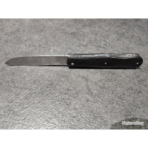 Violon damas par Maxime surjous