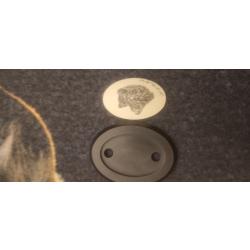 VEND CALOTTE SANGLIER ASPECT IVOIRE