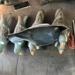 Appeaux pigeonne plastique