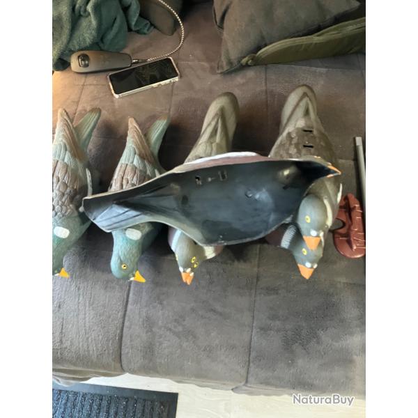 Appeaux pigeonne plastique