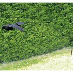 Kit complet flotteur &agrave; Corbeau acier fibre de verre, 2m10 mont&eacute;