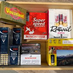 Lot de 65 cartouches de CAL 12 et 500 de 22 LR