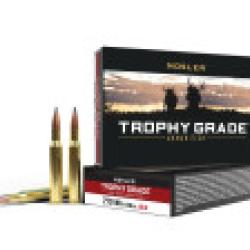 Nosler 20 cartouches TGA-270 Win 150g ABLR SP (20ct)