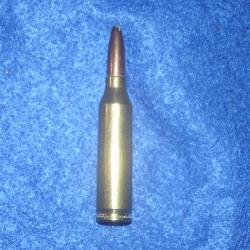 Cartouche prototype de  4.6x36