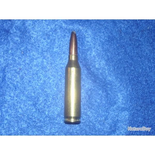 Cartouche prototype de  4.6x36