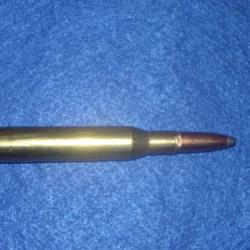 Cartouche de 270 Win par winchester