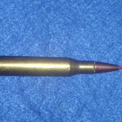 Cartouche de 270 Win par Hornady