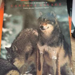 livre le loup
