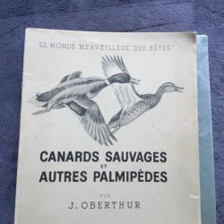 CANARDS SAUVAGES ET AUTRES PALMIP&Egrave;DES - TOME 1 - J. OBERTHUR - 1948 - CHASSE