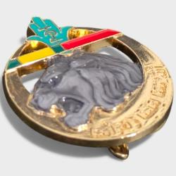 Insigne militaire 2e Regiment de Tirailleurs Algeriens 2e RTA - Arthus Bertrand pour ed Atlas