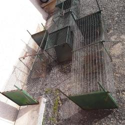 caisse pi&eacute;ge nuisible