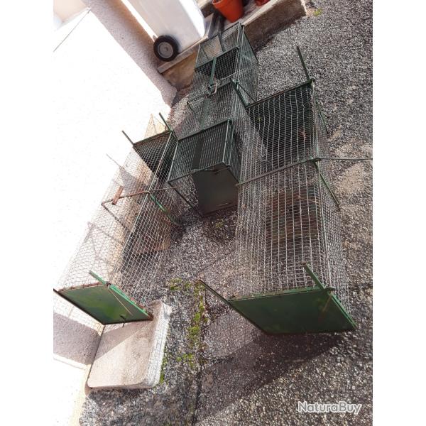 caisse pi�ge nuisible