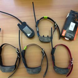 Ensemble GPS Sportdog TEK2 et 4 colliers - 1� sans prix de r&eacute;serve !!