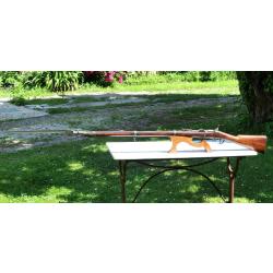 TRES RARE Fusil r&eacute;glementaire Albini-Braendlin calibre 11 mm XIX 1868 PIRLOT FRERES SCN25PIR001