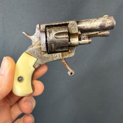 TR&Egrave;S BEAU PUPPY calibre 22 short