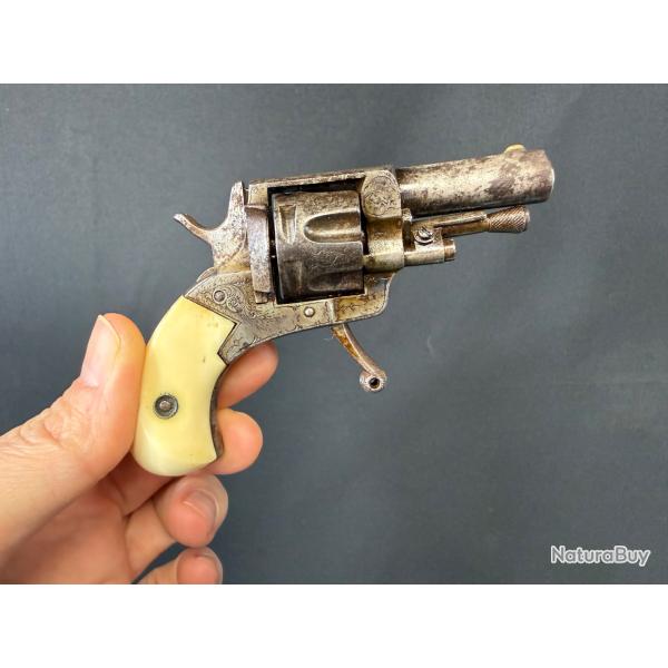 TR�S BEAU PUPPY calibre 22 short