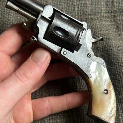 Revolver bulldog 320 - Syst&egrave;me Abadie et  plaquettes en Nacre