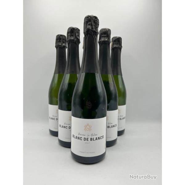 Vente Flash ! Romain Le Bihan Vin Mousseux Blanc de Blancs Brut - 6 Bouteilles
