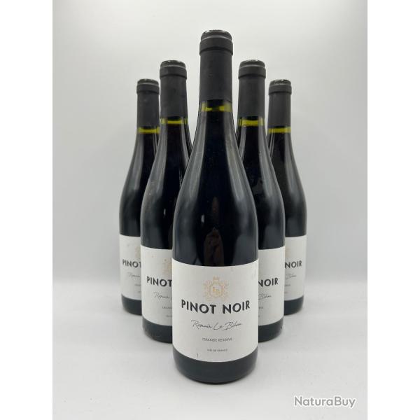 Vente Flash ! 2024 Romain Le Bihan Pinot Noir - Vin de France Rouge - 6 Bouteilles