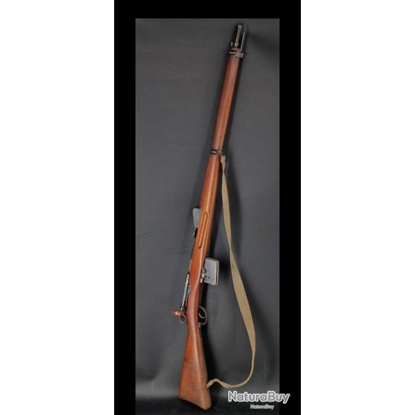 Schmidt rubin 1889 mono matricule