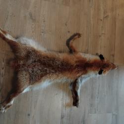 Peau de renard roux