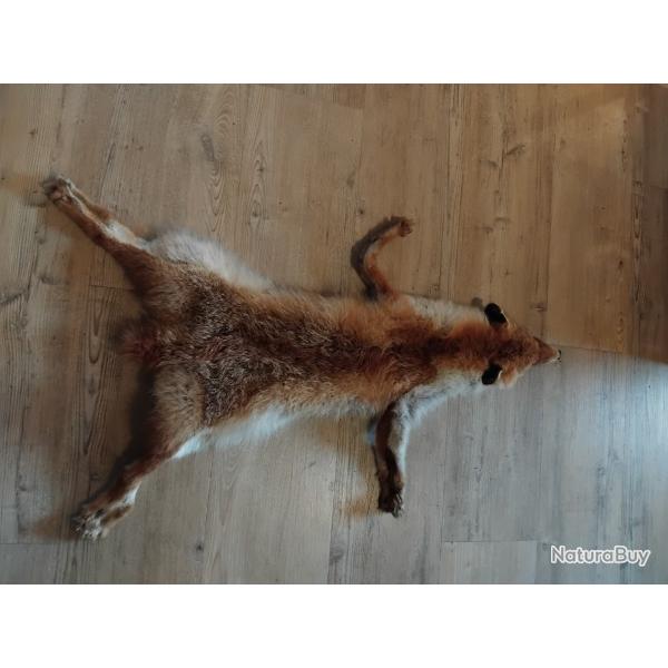 Peau de renard roux