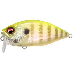 OVER REV CRANK - PM CHART BACK GILL