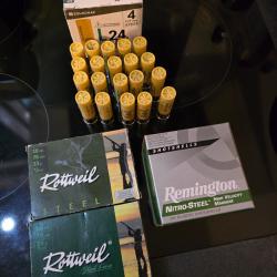 80 cartouches acier calibre 20