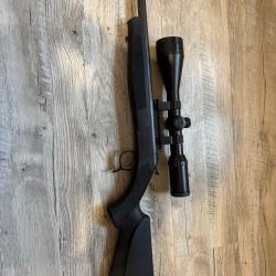 Carbinne bergara 308