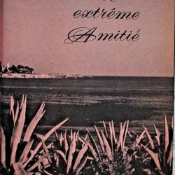 Une extr&egrave;me amiti&eacute; - Henri Troyat