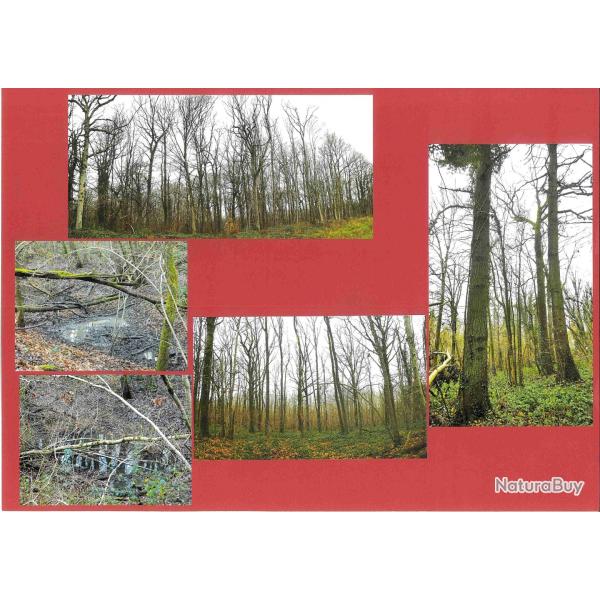 26,9617 ha - FOR�T DE LA TOUFFE - ( 77 ) SEINE-ET-MARNE