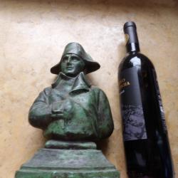 Beau buste imp&eacute;rial bronze 2.5kg premier empire Napol&eacute;on empereur des Fran&ccedil;ais 25cm Corsica Corse