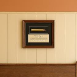 Cadre " 700 Nitro Express"