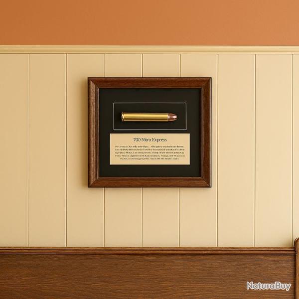 Cadre " 700 Nitro Express"