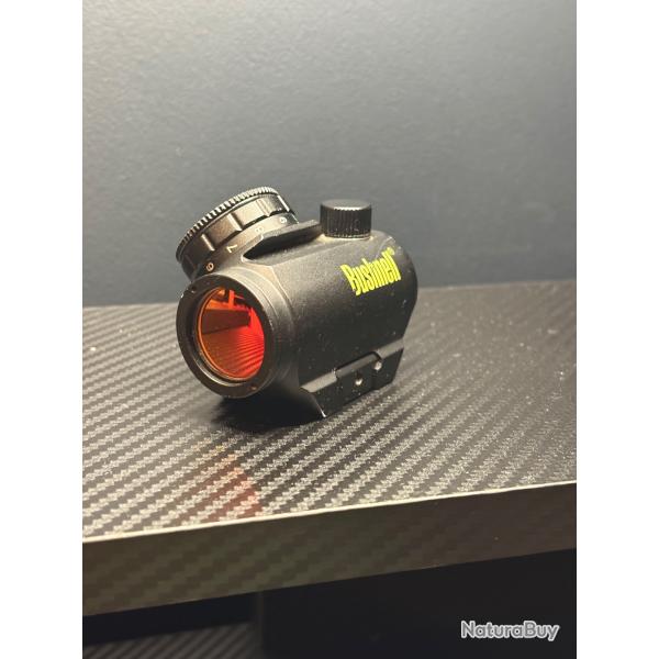 Point rouge Bushnell