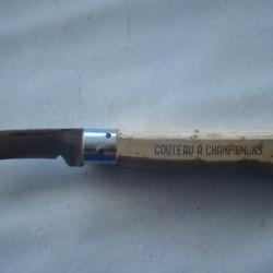 COUTEAU &agrave; CHAMPIGNONS - BODEGA PROMANE INOX