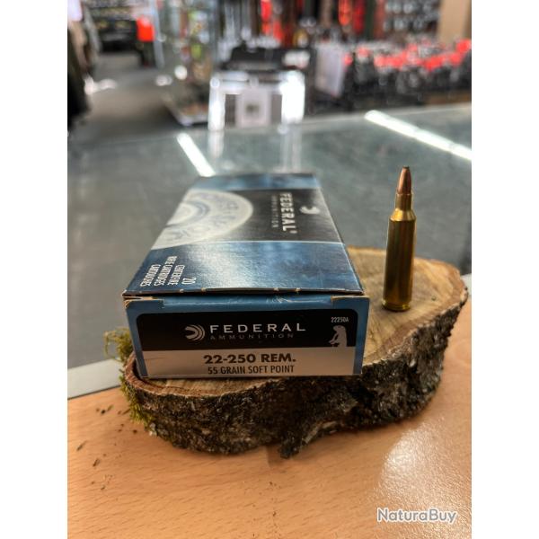 FEDERAL 22-250 REM SOFT POINT 55GR