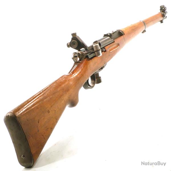 SCHMIDT RUBIN    -   K31   -   Avec DIOPTRE   -   bis