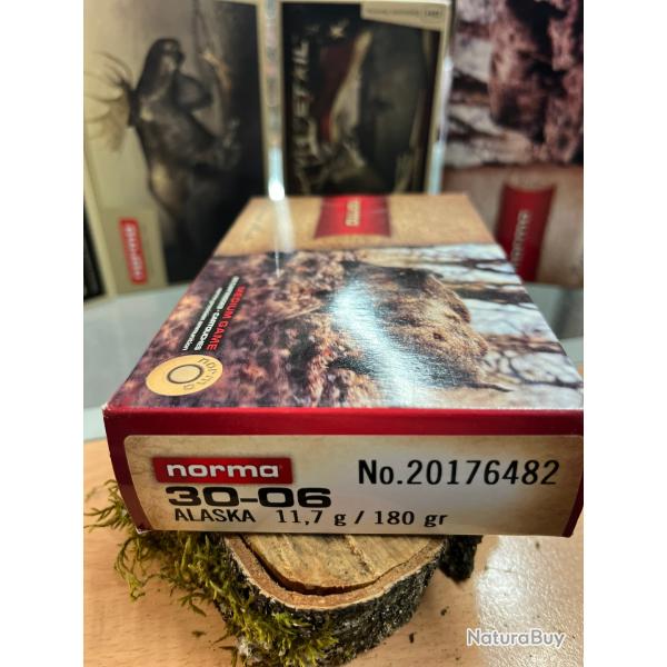 NORMA ALASKA 30-06 180 GR (BOITE DE 20)