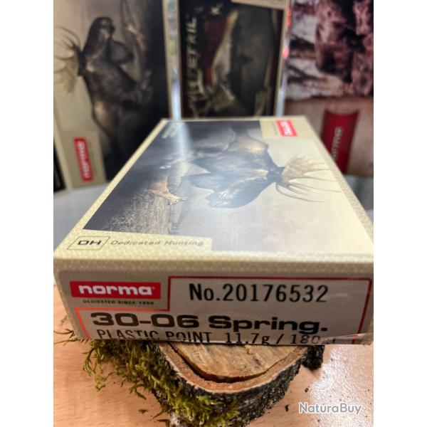 NORMA PLASTIC POINT 30-06 SPRING 180GR (BOITE DE 20)