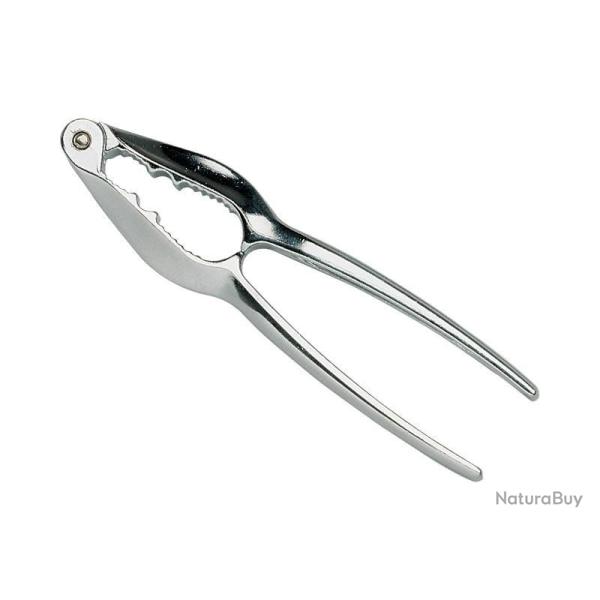 CASSE NOIX CHROME