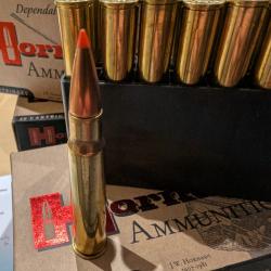 18 Balles sst 8x57 jrs 170 grs