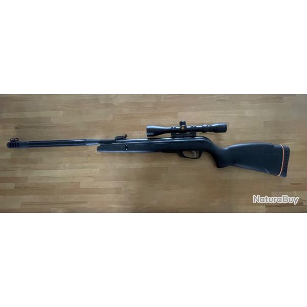 Carabine � plomb gamo + lunette