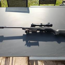 Carabine Hatsan C/22LR