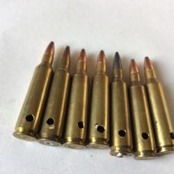 VENDU PAR LE-CUIRASSIER LOT 7 BALLES CALIBRE 22-250 CHASSE COLLECTOR NEUTRALIS&Eacute;ES