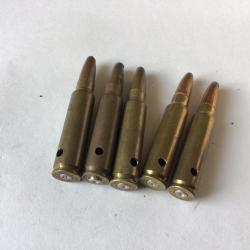 VENDU PAR LE-CUIRASSIER LOT 5 BALLES CALIBRE 300 SAVAGE CHASSE COLLECTOR NEUTRALIS&Eacute;ES