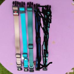 lot de 3 colliers neuf + laisse a enrouleur