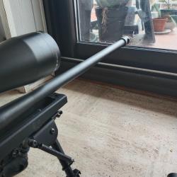 Carabine Unique FMR mod&egrave;le RS1 - cal. 300 savage