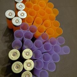 50 douilles vides rechargement