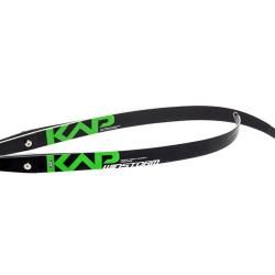 Branches KAP Winstorm Fiber 36# 70"